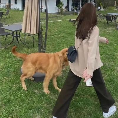 如常